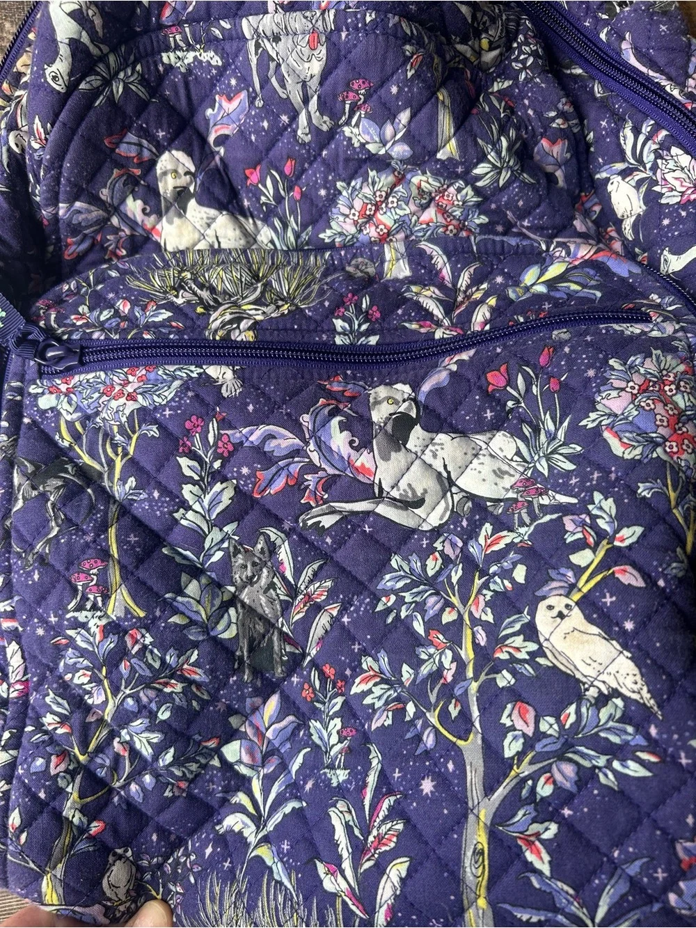 Vera Bradley Harry Potter forbidden forest backpack